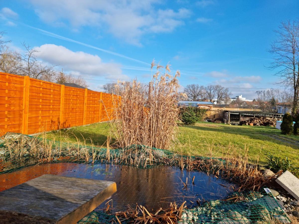 Liebevoll Eingerichtetes Haus Mit Grossem Garten In Dresden - Telefonnummer Und Video Unter Www Fhvn De Exteriér fotografie